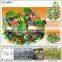 Free design CE & GS standard eco-friendly LLDPE kids indoor playground equipment