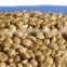 VIETNAM ROBUSTA COFFEE INTERIMEX