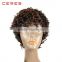 light brown Afro Short Curly Synthetic Wig, Short Hair Wig, Rainbow Wig                        
                                                Quality Choice