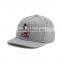 2015 Cartoon Logo 6 Panel Cap Hat Custom Cap