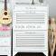 Double layer Wooden shoe cabinet in white