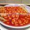 we are supply canned vegetables , Canned broad beans in tomato sauce for sale