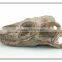 decorative resin mini cute dinosaur head skeleton fossil