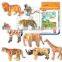 Paper 3D Puzzle Toy Animals