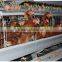 quail battery cages for sale poultry battery cages chicken cages