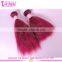 2016 New Arrived Golden Supplier Burgundy Color Brazilian Perm Human Hair Yaki Hair