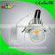 4 inch angle adjustable cob 30w trunk light dimmable