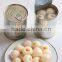 Canned lychees in tins 15Oz, origin Vietnam, high quality