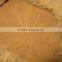 Vietnam best cassia powder, ground cinnamon with high oil content by Hagimex