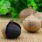 Dark Blackened Garlic, Blackgarlic, Black Garlic for Sale