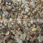 Chinese	brown straw mushroom preserved Volvaria volvacea whole straw mushrooms