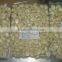 Chinese manufacutrer supplyier 280-320 Vacuum packed fresh peeled garlic