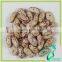 New Crop Pulses/Light Speckled Kidney Beans