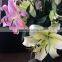 Free shipping Sweet smell fresh cut lily flower fresh flowers high quality