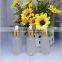 Frosted glass dropper bottle essential oil glass bottle cosmetic bottle with silver different collar