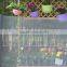 Grey Color Plastic Gardening Mesh/plastic Mosquito Net/flower Insect Nets Pest Control