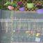 grey color plastic gardening mesh/plastic mosquito net/flower insect nets pest control