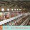Professional autoamtic poultry cage egg layer chicken cage for sale