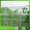 Agriculture Insect Proof mesh Screen / insect net fabric