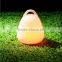 RGB outdoor christmas led light lamp with 16 colors changing