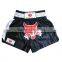 Best Quality Boxing Shorts / Satin Boxing Shorts / Kickboxing Shorts