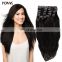 100% Human Unprocessed Virgin Hair Straight Clip In Human Hair Extension For Wholesale