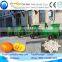 watermelon seed separator/watermelon seeding machine/watermelon deseeding machine