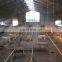china supplier steel structure cattle cow farm pig shed building