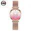 Hannah Martin 13620 Women Watch Luxury 3D Butterfly Rose Gold Mesh Strap Japanese Movement Waterproof Quartz Women Wristwatch