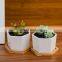 Wholesale Plant Pot Tray Chinesepottery Mini Yixing Bonsai Custom Indoor Taizhou A Sale Flower Pots &Planters