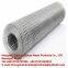 galvanized wire mesh?