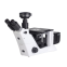 Inverted metallurgical microscope MJX60