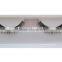 Pure handmade Mink Fur lashes O