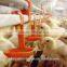 Full automatic chicken drinker of poultry equipment