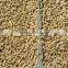 Chinese goods raw organic peanuts ground nut in shell peanut in shell