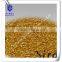 environment-friendly pet bird cage gravel paper