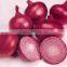 Red, yellow and white onion