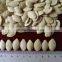 Dried Edible Chinese Pumpkin Seeds,2015 Crop