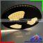 IP68 silicon covered led strip light, waterproof led light rope DC24V 5050 strip 60 Leds/m