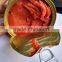 Factory supply good quality and lower price canned tomato paste