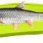 Plastic Sharp Fillet Board Fishing Clip Board