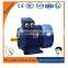 Three phase AC Electric Motors