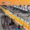 Filled Bottle Conveyor System