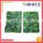 Supply Good Quality Frozen Iqf Spinach Vegetables