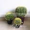 Artificial Mexico Cactus For Decor