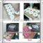 Cheap Price Multifunctional CD / DVD Digital Flatbed Printer (office in Shanghai)