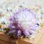New Design Plastic Mini Succulent Plants Artificial Succulent Plastic For Decoration