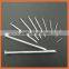 Common Wire Nail/Polish Common Nail