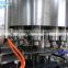 Glass/PET Bottle Washing Filling Capping Machine For Carbonated Drink