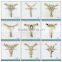 Sample card of TPU shoe decoration for lady